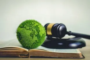 Environmental Law